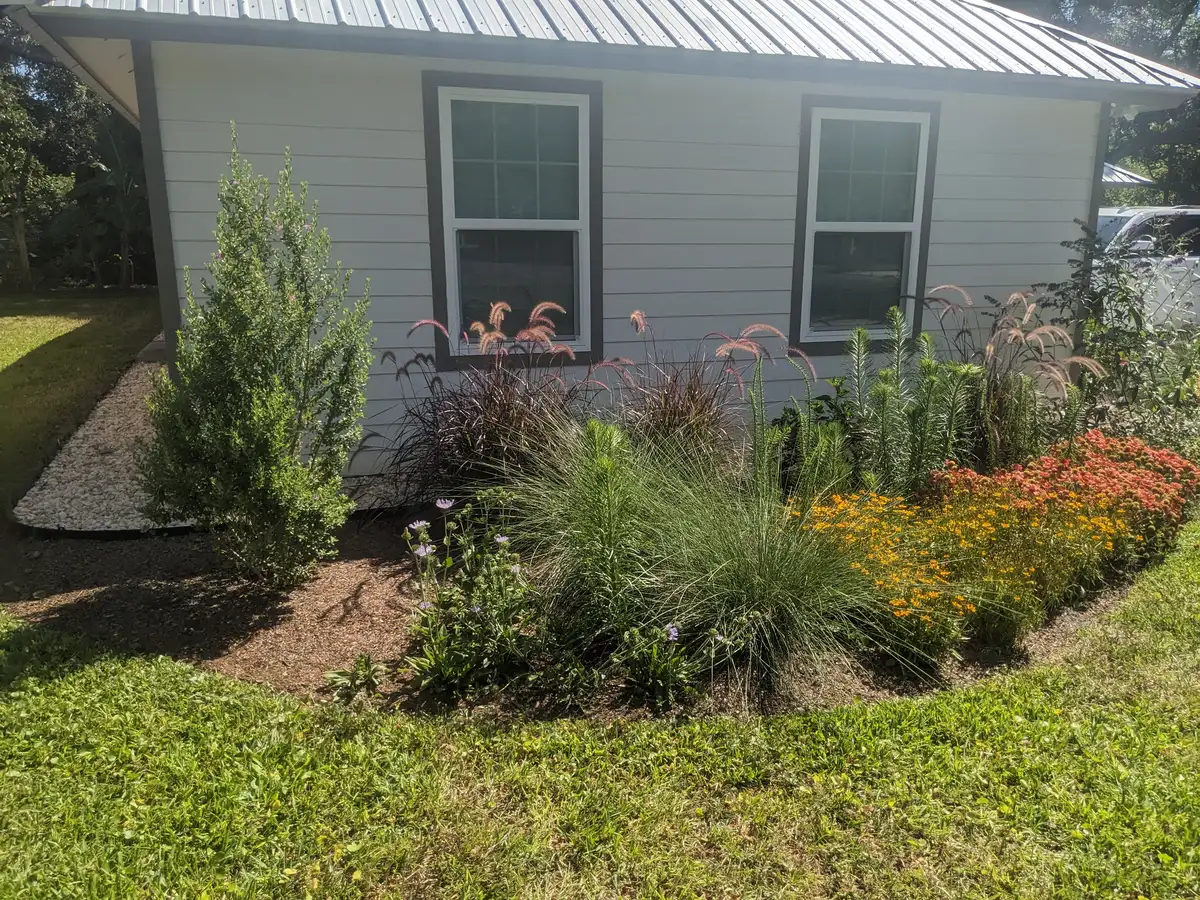 Layered ornamental grasses and flowering plants arranged beside a Florida home