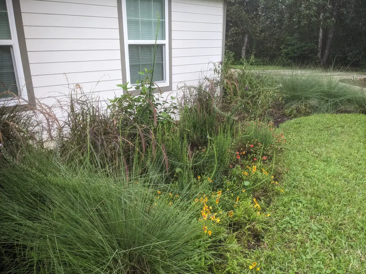 Complete backyard makeover in Amelia Island