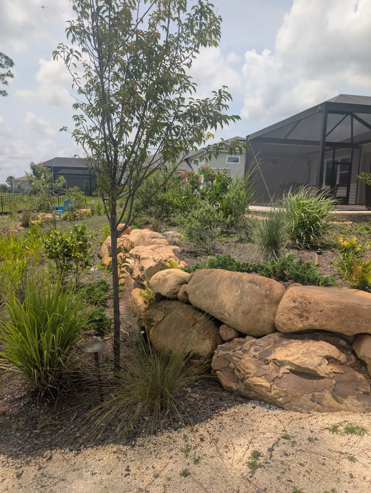 Uplighting illuminating mature oak trees at night