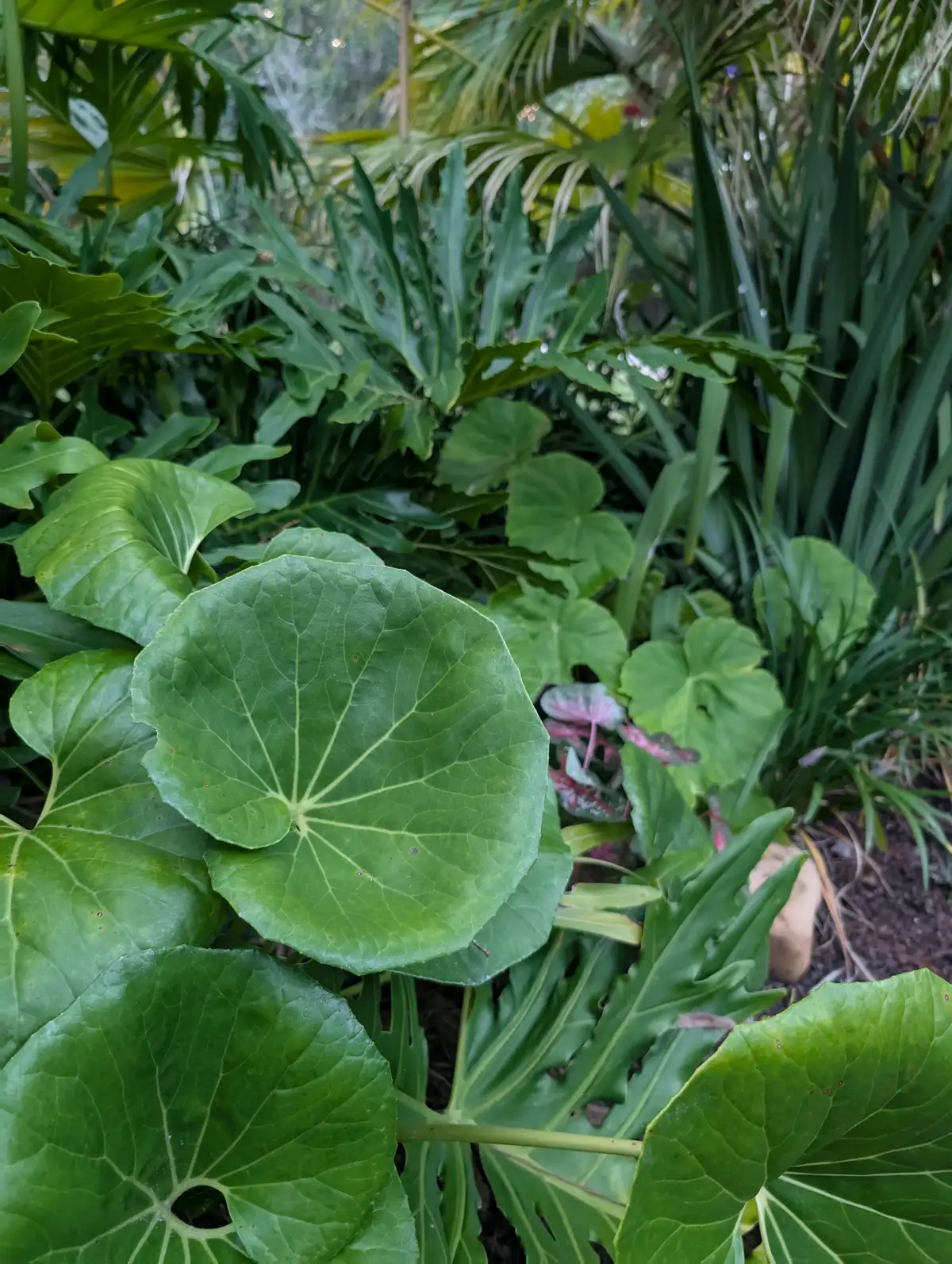 Smart-controlled landscape lighting system in a garden setting