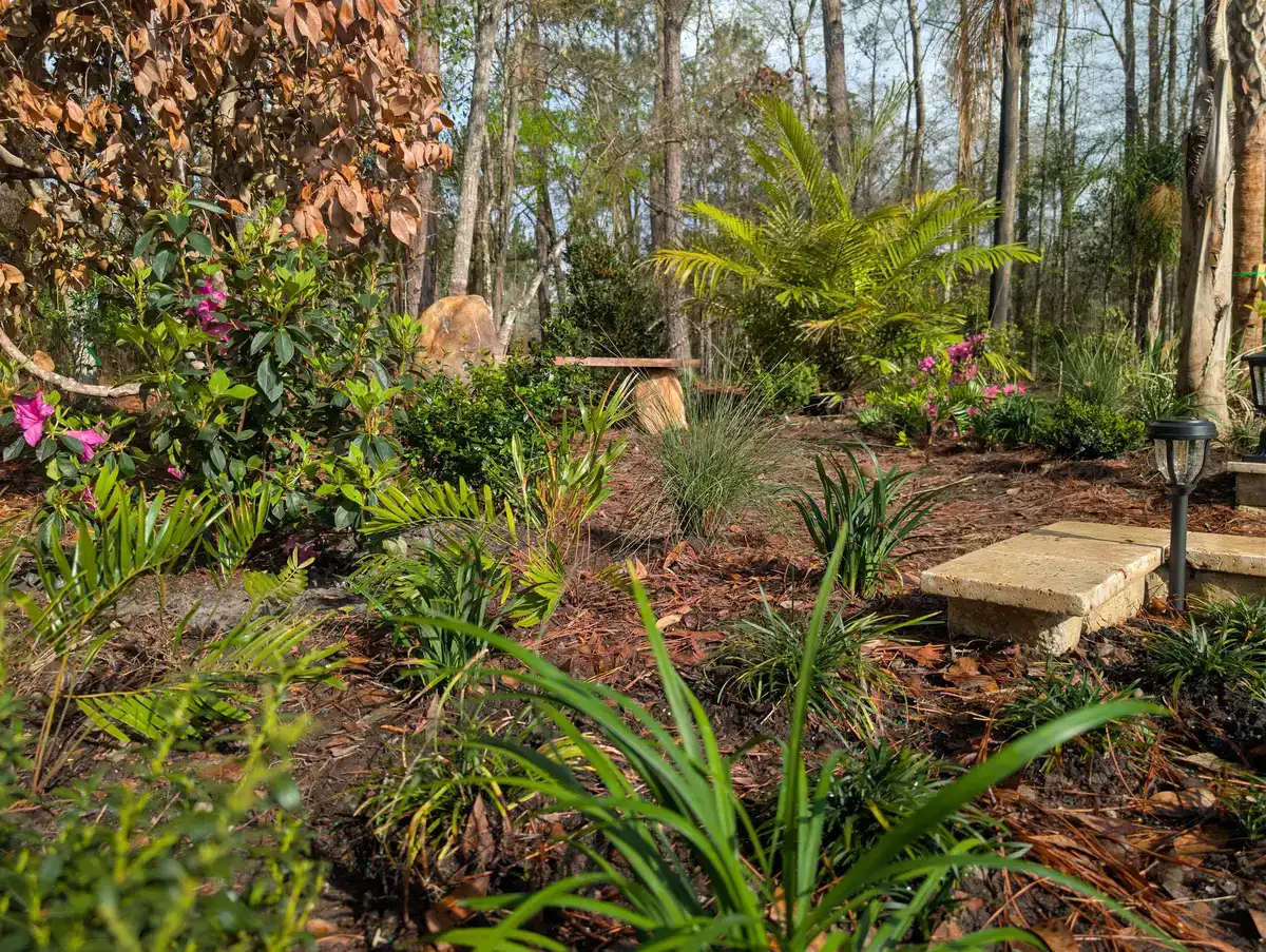 Layered planting and a stone garden path in a wooded outdoor space